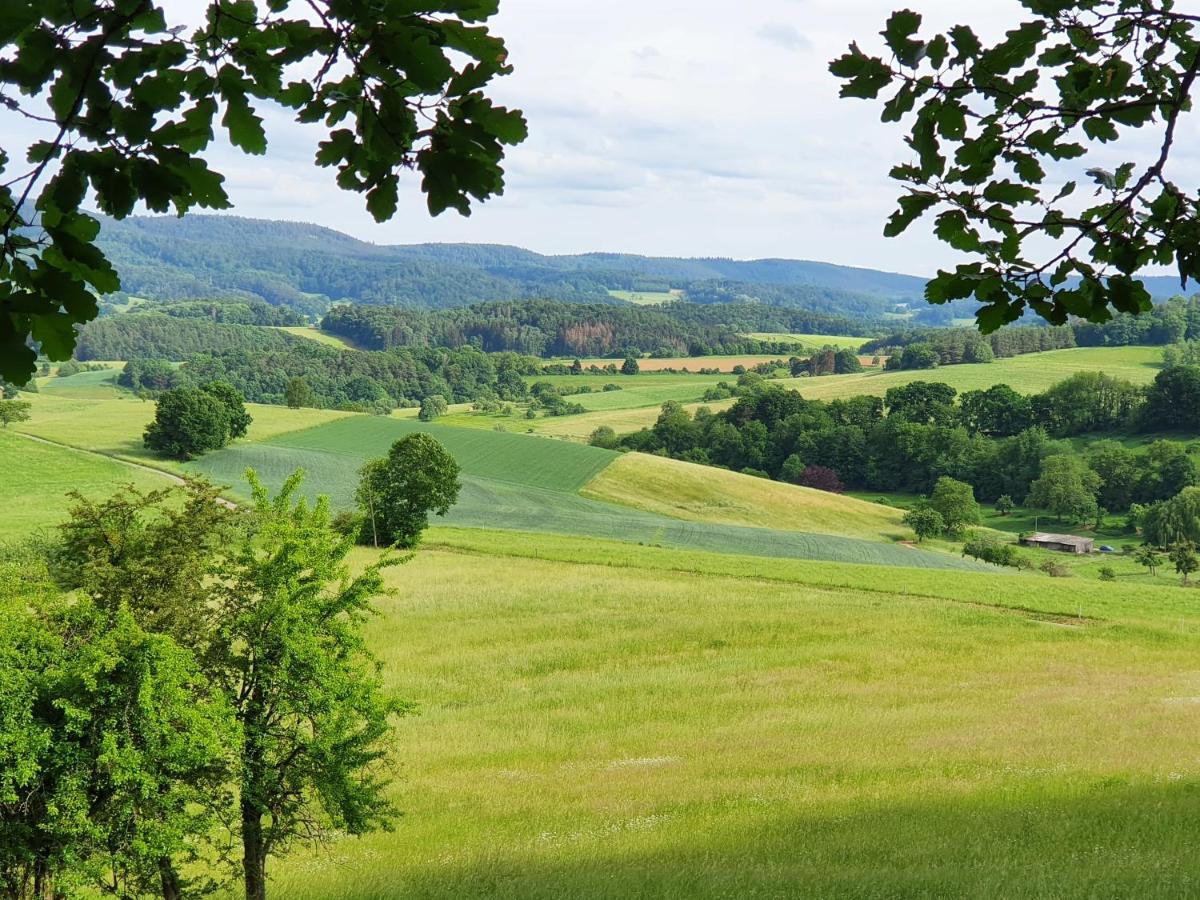 Odenwald-Lodge Mit Infrarotsauna Und E-Ladestation "Haus Purpur" Reichelsheim Екстер'єр фото