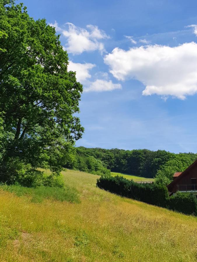 Odenwald-Lodge Mit Infrarotsauna Und E-Ladestation "Haus Purpur" Reichelsheim Екстер'єр фото
